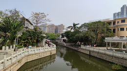 李玟腿伤住院，发文称希望你们等我回来