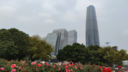 刘芳菲发文回应离职：会继续深耕文化领域